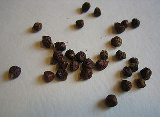 Peppercorns From Guinea