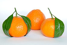 Mandarin Orange Fruit