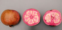 Pink Quava Fruit