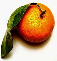 Tangerine Fruit
